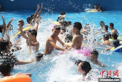 娱乐吃瓜冲浪社