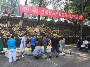 娱乐吃瓜酱贫困户 第2张 娱乐吃瓜酱贫困户 第2张