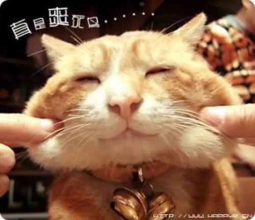 娱乐吃瓜猫捉鸟是真的吗,娱乐吃瓜猫捉鸟事件,真相究竟如何? 第3张 娱乐吃瓜猫捉鸟是真的吗,娱乐吃瓜猫捉鸟事件,真相究竟如何? 第3张