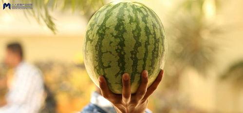 2021娱乐吃瓜,吃瓜群众的热议焦点大盘点 第3张 2021娱乐吃瓜,吃瓜群众的热议焦点大盘点 第3张