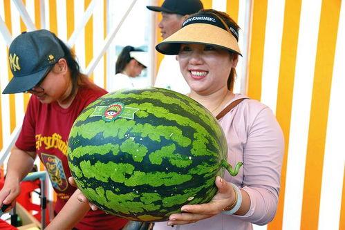 娱乐的吃瓜,揭秘明星幕后故事 第3张 娱乐的吃瓜,揭秘明星幕后故事 第3张